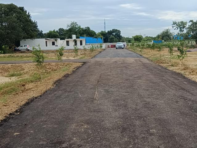 Saini, Sector 12 Greater Noida 56 Sq. Yd. Plot in Saini Greater Noida Listing ID: #10348