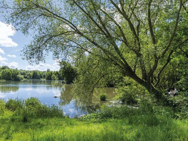 Saint Thibault des Vignes Vente Appartement 77