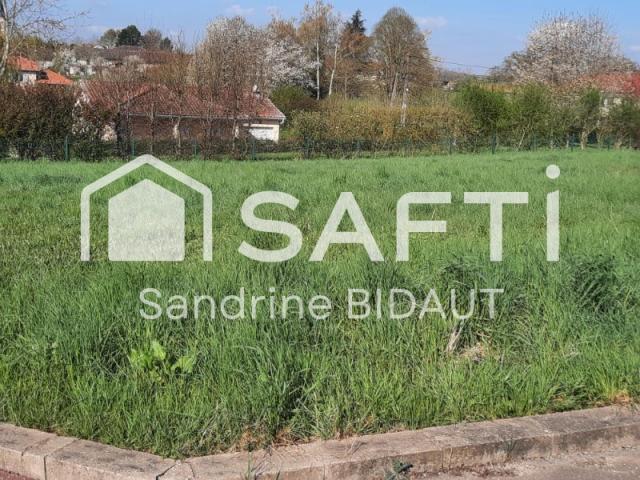 Saint Trivier de Courtes Vente Terrain 01