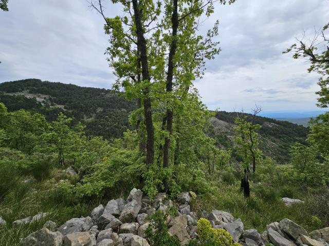 Saint Vallier de Thiey Vente Terrain 06