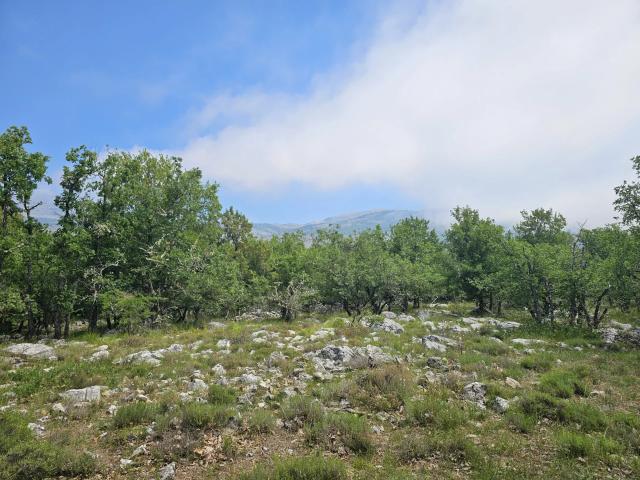 Saint Vallier de Thiey Vente Terrain 06