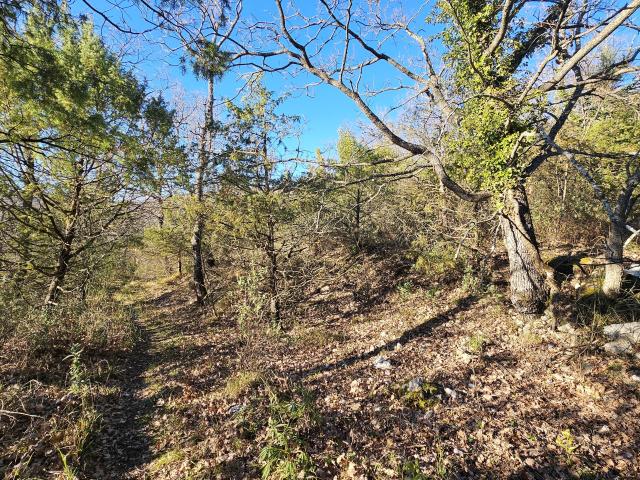 Saint Vallier de Thiey Vente Terrain 06