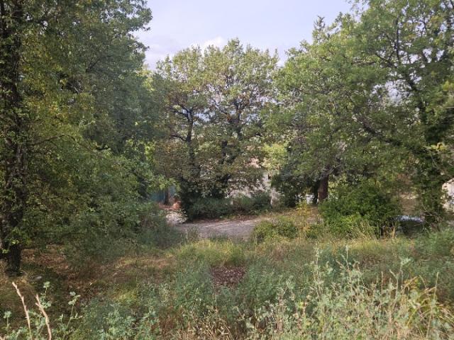 Saint Vallier de Thiey Vente Terrain 06