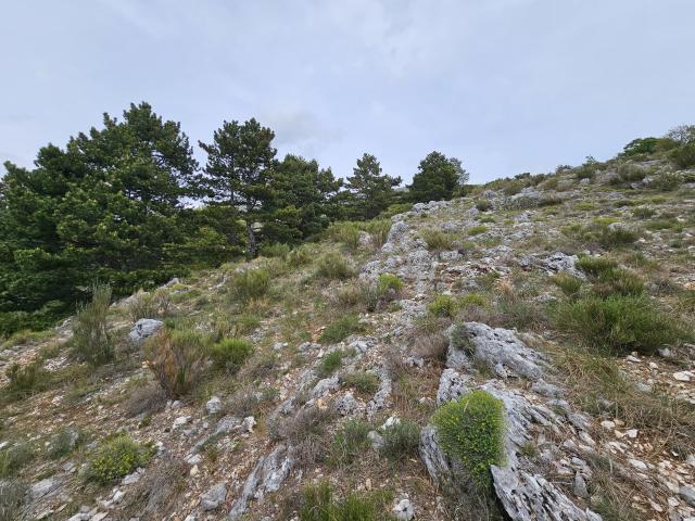 Saint Vallier de Thiey Vente Terrain 06