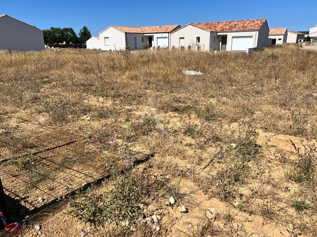 Saint Vincent sur Jard Vente Terrain 85