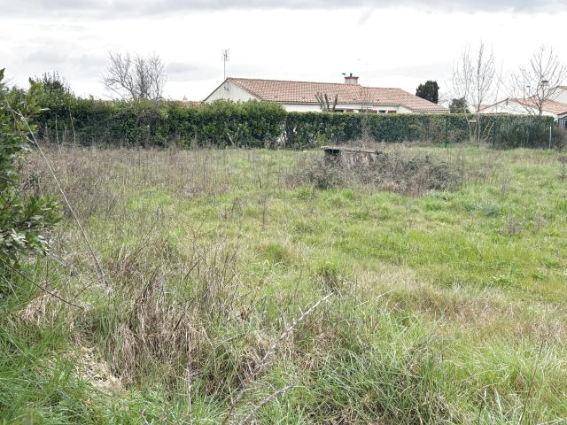 Saint Vincent sur Jard Vente Terrain 85