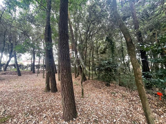 Saint Vincent sur Jard Vente Terrain 85