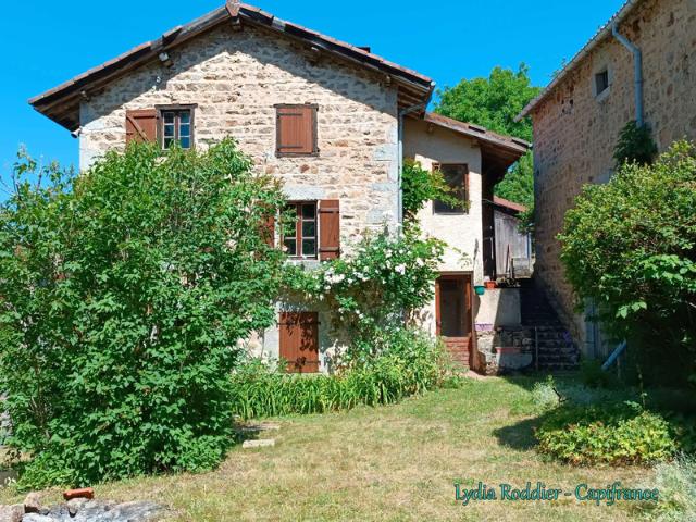 Saint Victor Montvianeix Vente Ferme 63
