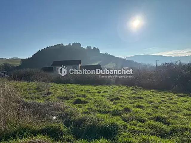 Saint Victor sur Rhins 42630 Achat / Vente terrain
