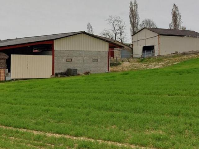 Saint Vivien de Monségur Vente Maison 33