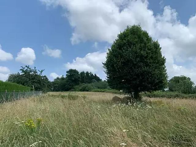 Saint Yrieix la Perche 87500 Achat / Vente terrain