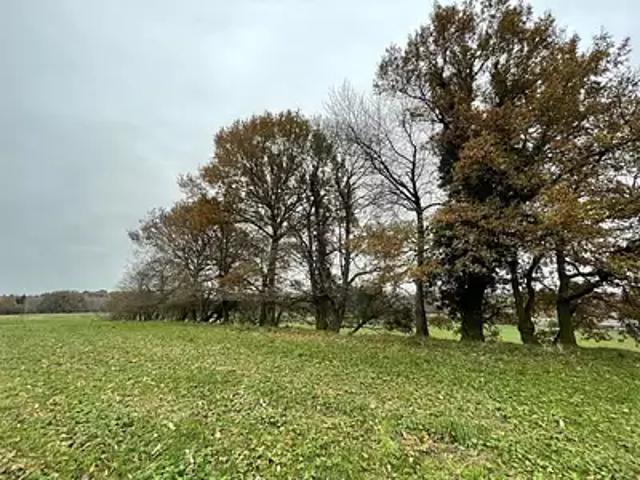 Saint Yrieix la Perche 87500 Achat / Vente terrain