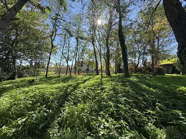 Saint Yzan de Soudiac 33920 Achat / Vente terrain