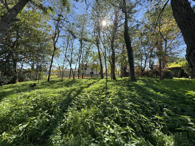 Saint Yzan de Soudiac Vente Terrain 33