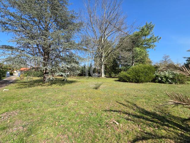 Saint Aignan Grandlieu Vente Terrain 44