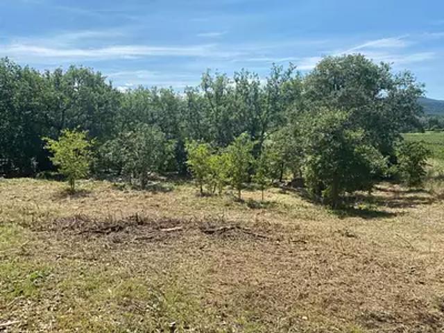 Saint Alban Auriolles 07120 Achat / Vente terrain