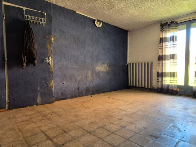 Saint Amand les Eaux Vente Maison 59