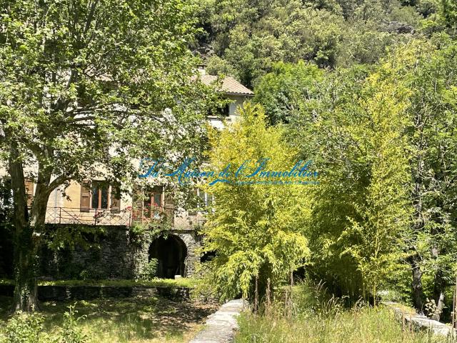 Saint André de Valborgne Vente Propriété/château 30