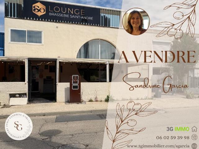 Saint André de Sangonis Vente Immeuble 34