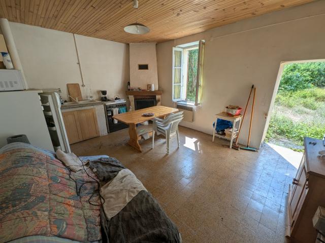 Saint André les Alpes Vente Appartement 04