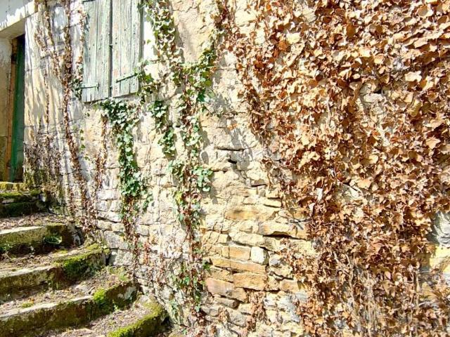 Saint Antonin Noble Val maison avec jardin à restaurer
