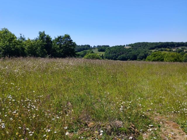 Saint Astier Vente Terrain 24