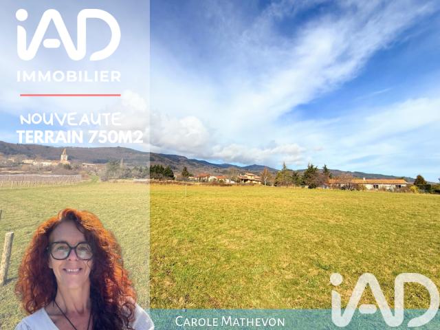 Saint Appolinard Vente Terrain 42