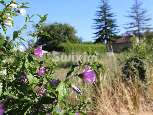 Saint Aubin Vente Terrain 39