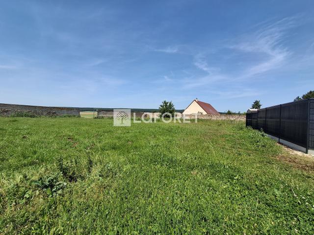 Saint Aubin des Bois Vente Terrain 28