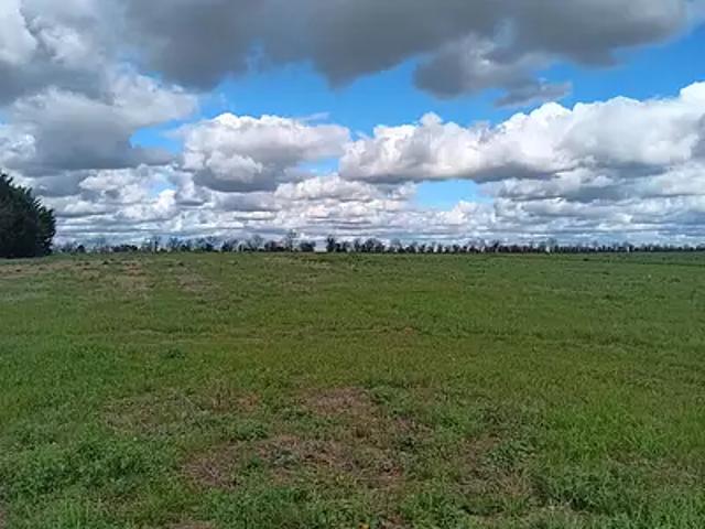 Saint Aubin la Plaine 85210 Achat / Vente terrain