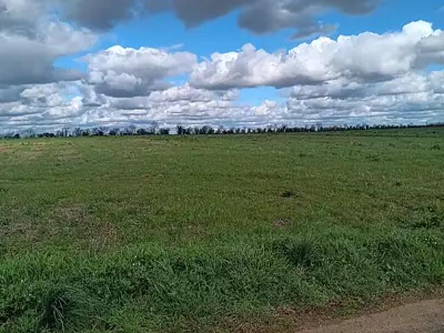 Saint Aubin la Plaine 85210 Achat / Vente terrain