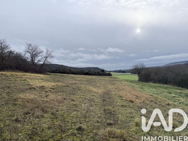 Saint Aubin sur Yonne Vente Terrain 89