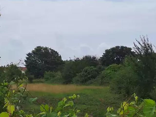 Saint Augustin 17570 Programme neuf terrain neuf à vendre