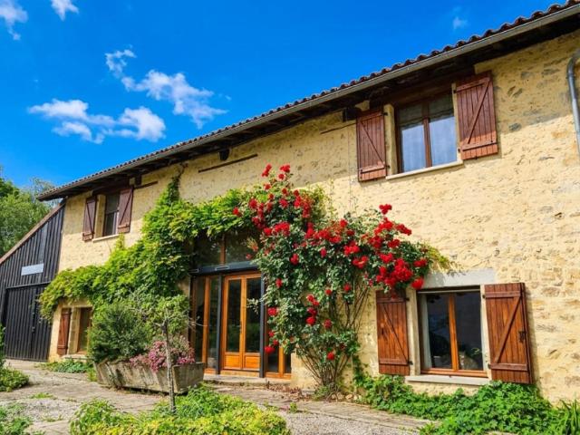 Saint Auvent Vente Propriété/château 87