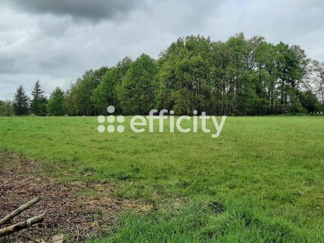 Saint Auvent Vente Terrain 87