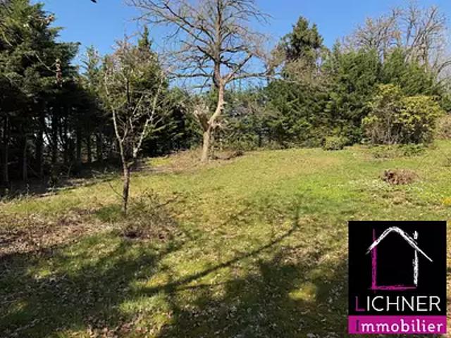 Saint Avold 57500 Achat / Vente terrain