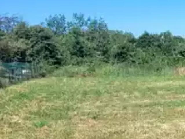 Saint Avaugourd des Landes 85540 Programme neuf terrain neuf à vendre
