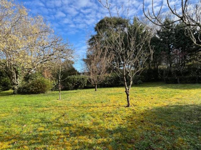 Saint Avertin Vente Terrain 37