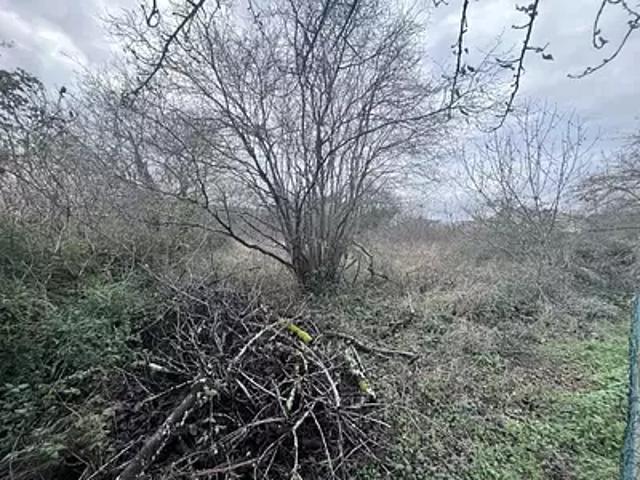 Saint Avertin 37550 Achat / Vente terrain