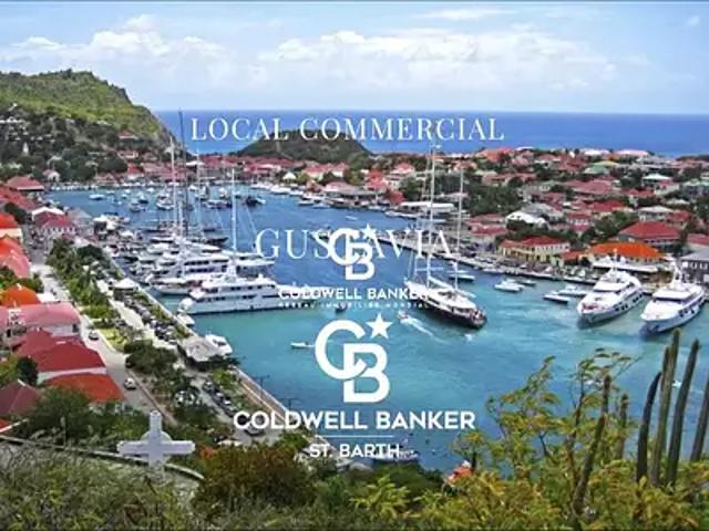 Saint Barthélemy 97133 Achat / Vente divers 1 pièce
