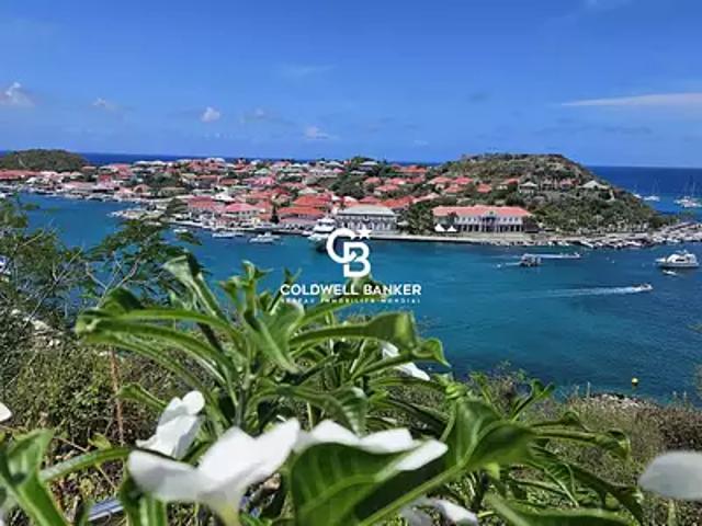 Saint Barthélemy 97133 Achat / Vente terrain