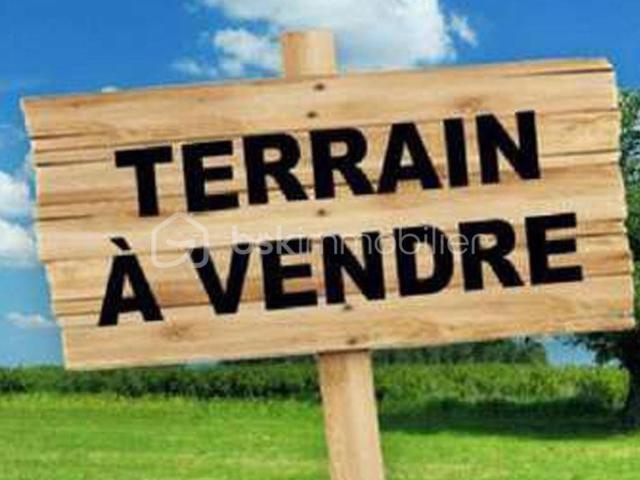 Saint Benin d'Azy Vente Terrain 58