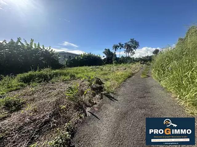 Saint Benoît 97470 Achat / Vente terrain