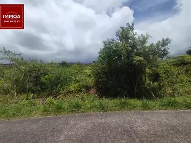 Saint Benoît 97470 Achat / Vente terrain