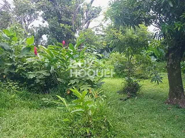Saint Benoît 97470 Achat / Vente terrain