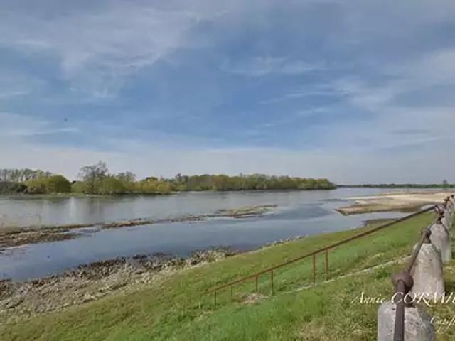 Saint Benoît sur Loire 45730 Achat / Vente maison 5 pièces t5 jardin terrasse
