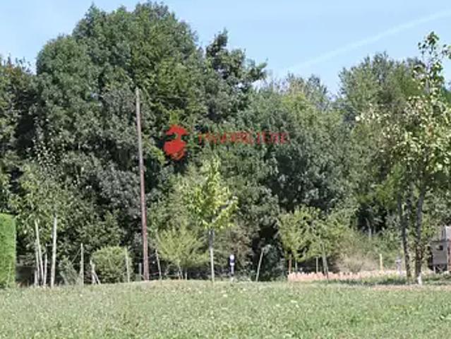 Saint Bernard 68720 Achat / Vente terrain