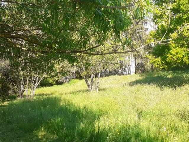 Saint Bonnet en Champsaur Vente Terrain 05