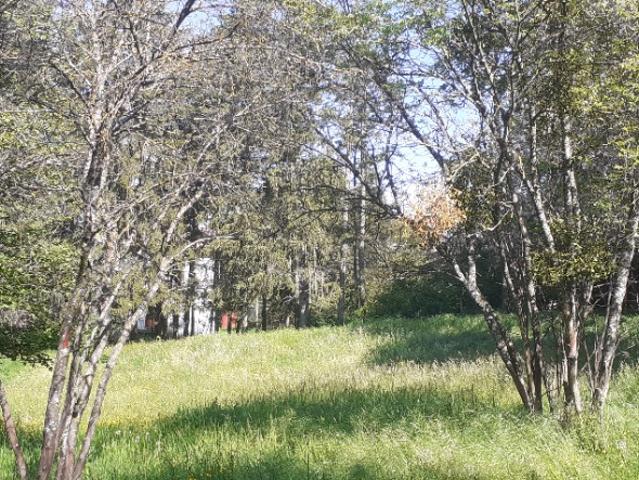 Saint Bonnet en Champsaur Vente Terrain 05