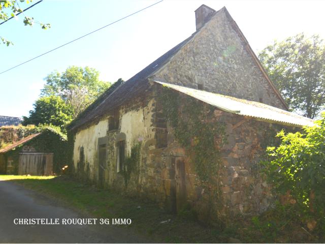 Saint Bonnet près Orcival Vente Maison 63
